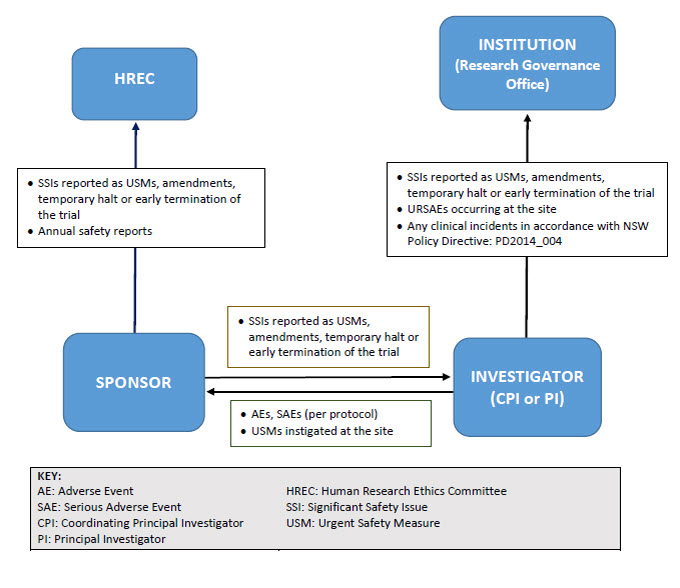 The safety reporting flowchart for non-therapeutic trials illustrates the safety reporting responsibilities of the Sponsor and the Investigator to the Institution and Human Research Ethics Committee. The Investigators responsibilities are to report: • all safety critical Adverse Events, Significant Adverse Events ,and Urgent Safety Measures instigated by the site to the Sponsor; and • all Significant Safety Issues, Urgent Safety Measures, amendments, temporary halt or early termination of the trial, Unexpected & Related Serious Adverse Events occurring at the site, and any clinical incidents in accordance with NSW Health Policy Directive (PD2014_004), to the Institution (Research Governance Office). The Sponsor’s responsibilities are to report all Significant Safety Issues, Urgent Safety Measures, amendments, temporary halt or early termination of the trial, and annual safety reports to the Human Research Ethics Committee.